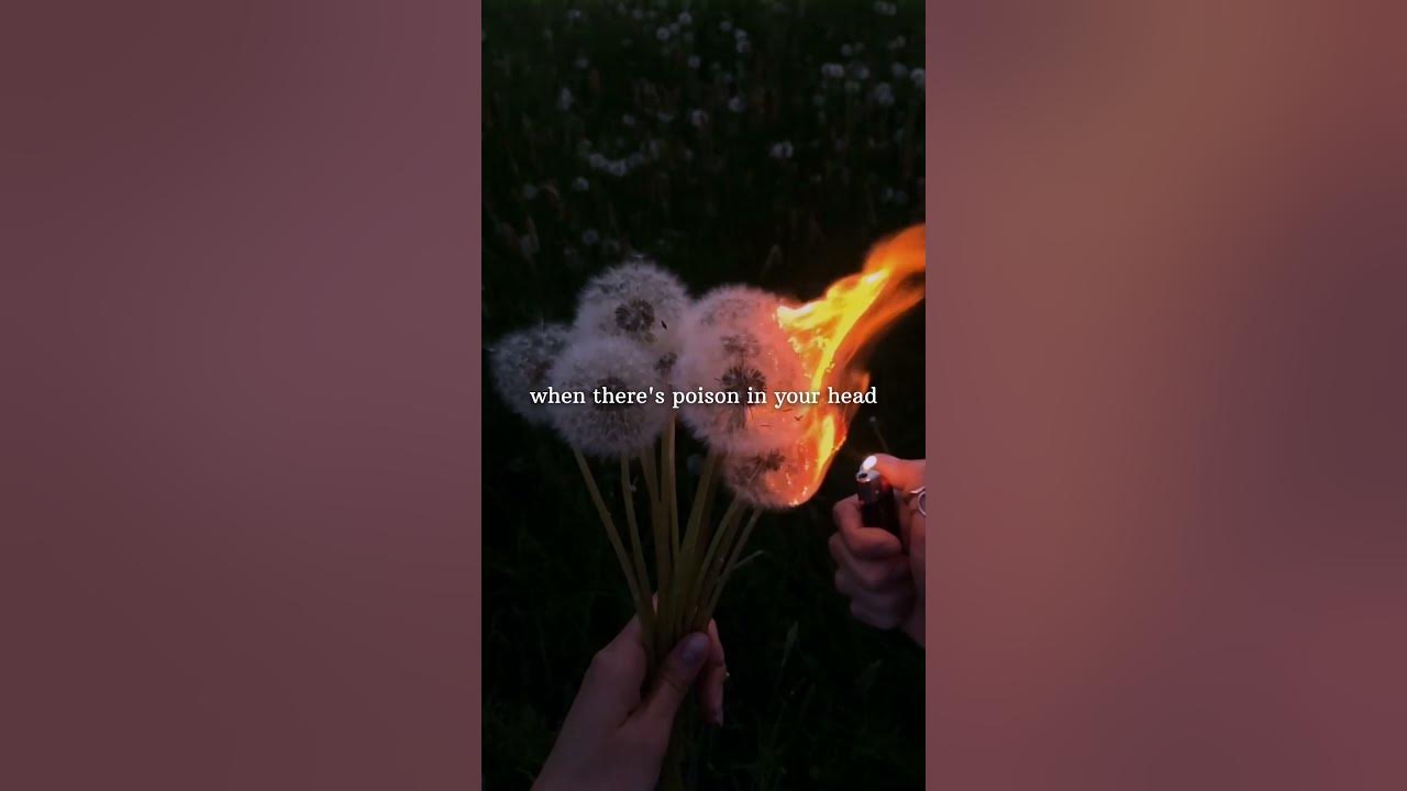 In the name of love| #music #song #lyrics #astheticremix