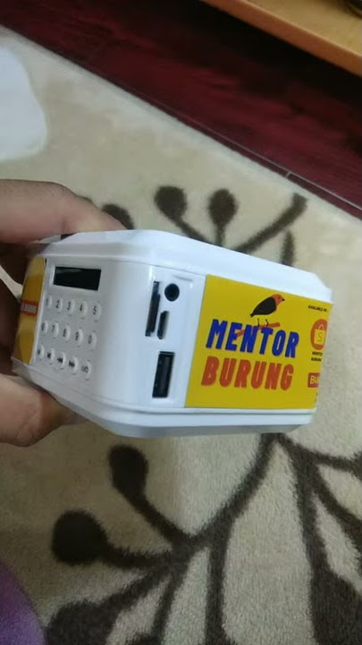 Viraall !!! Masteran Speaker Burung !!! Rahasia Burung Juara love bird murai kacer anis kembang