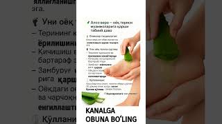 Алоэ вера – оёқ териси муаммоларига қарши табиий даво.