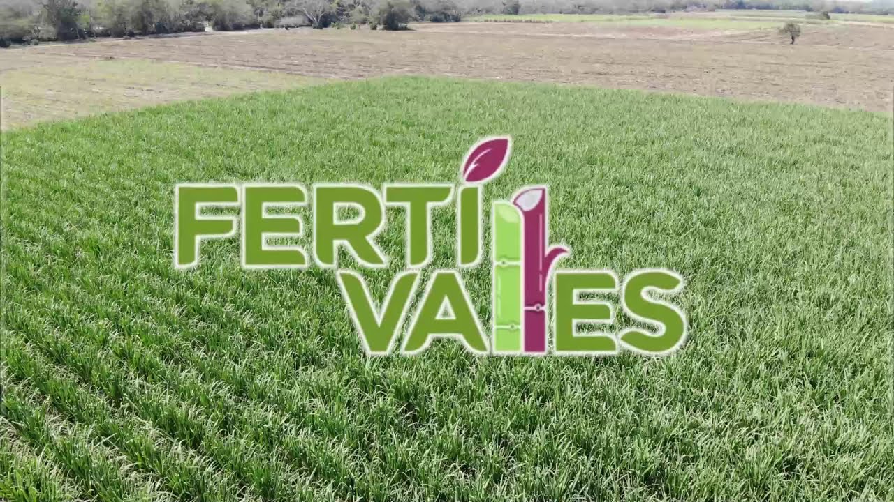 Nutrición y sanidad en caña de azúcar