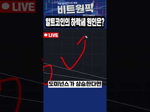 알트코인의 하락세 원인은?