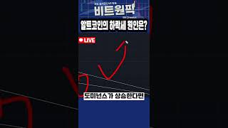 알트코인의 하락세 원인은?