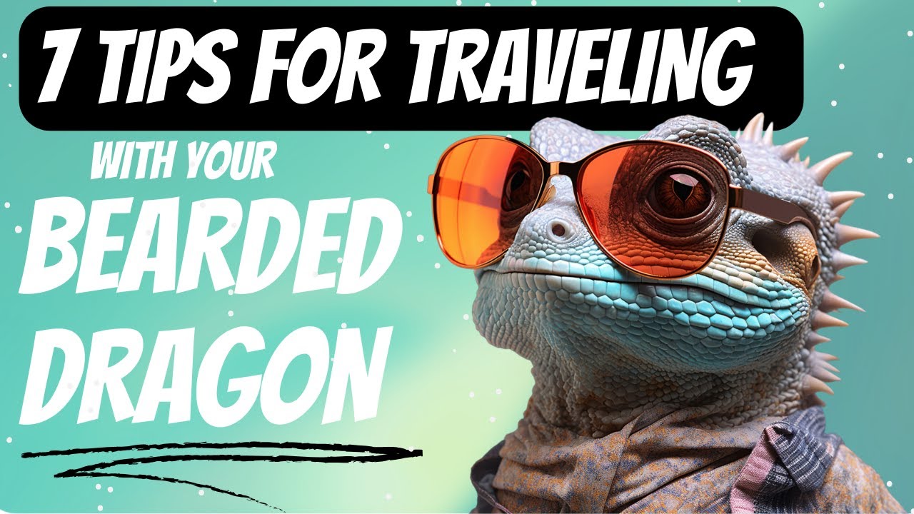 7 Tips to Travel with Your Bearded Dragon