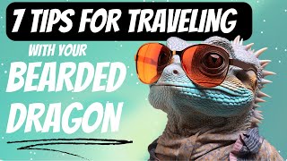 7 Tips to Travel with Your Bearded Dragon