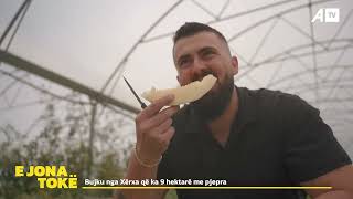 Bujku Nga Xërxa Që Ka 9 Hektarë Me Pjepra