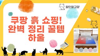 흙, 영양제, 살충, 기타 정리! 쿠팡 쇼핑 하울  사용 후기 (공구함, 매트)