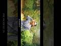 Rida Tharana Ft Nitk Surathkal INCIDENT 2025 Incident Incidentnitk Music Nitk Inci 