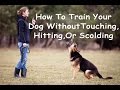 How To Train Your Dog Without Touching It! How To Train Your Dog Without Touching It!