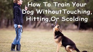 How To Train Your Dog Without Touching It! by Chet Womach 77,133 views 9 years ago 29 minutes