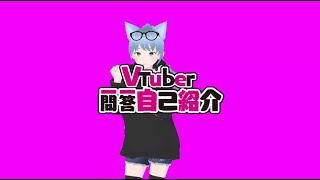 「VTuber一問一答自己紹介 テイク２」のサムネイル