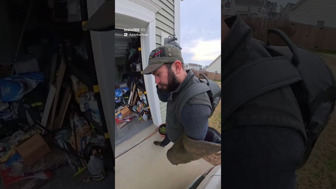 Bane — Protection Dog Training!