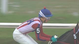 Vidéo de la course PMU PREMIO POLYUS