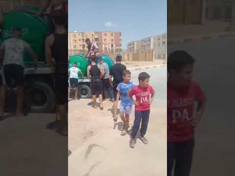 حملة تشجير بحي زميط بسكرة