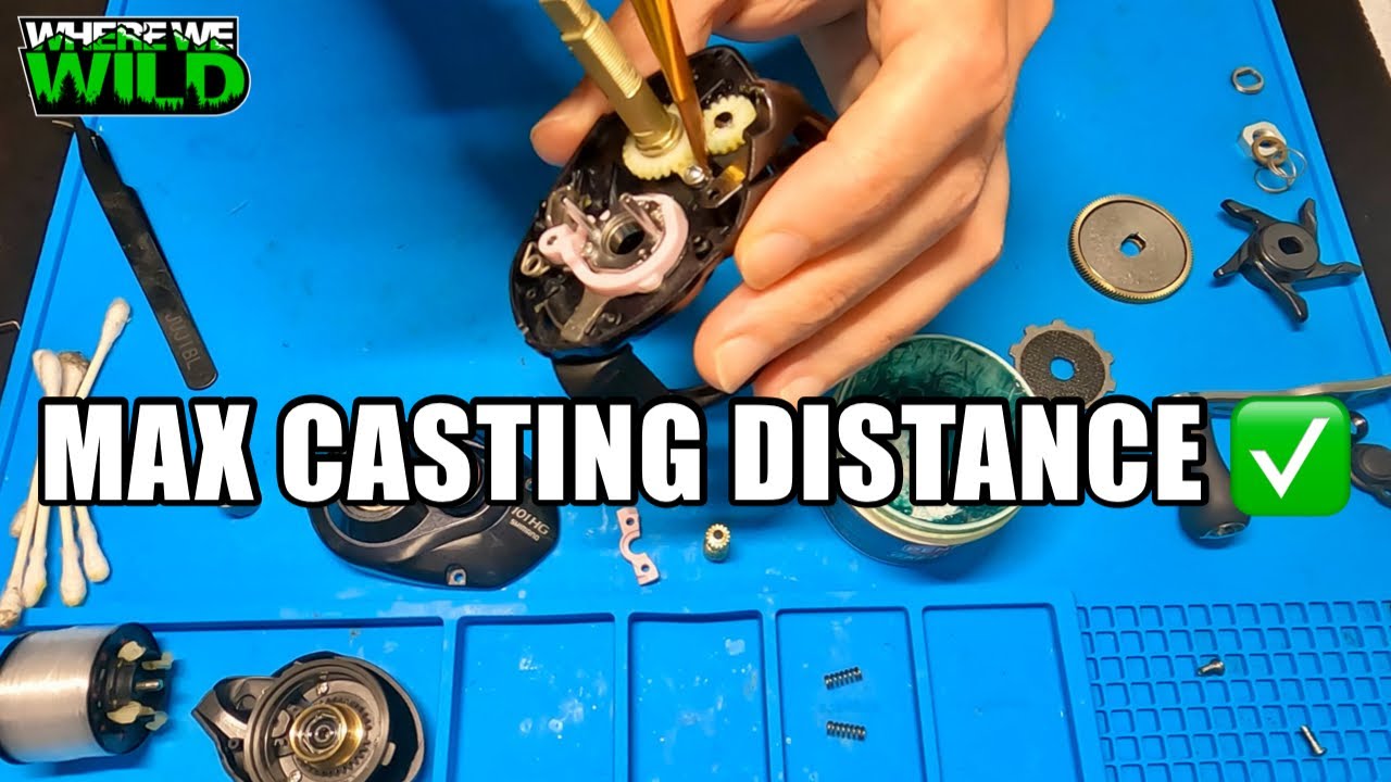 baitcaster reel care QUA'ANNYU Fishing Maintenance Kit, Professional Fishing Reel & Repair Tool Set with 24/30/38-in-1 Screwdriver Set (Gold+Manual Screwdriver) : Sports & Outdoors How To Clean and Lubricate