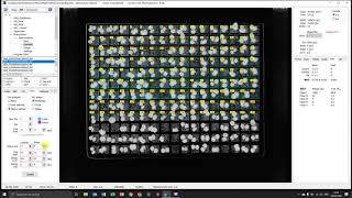 Tutorial 5 Morph and ROI PhenoVation DA