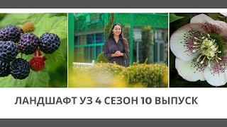 картинка: ландшафт уз 4 сезон 10 выпуск / 12-03-2023