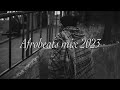 AFROBEATS CHILL MIX 2023 | Premium Afrobeats Playlist | Vibrant Melodies.🌟🎵🌴