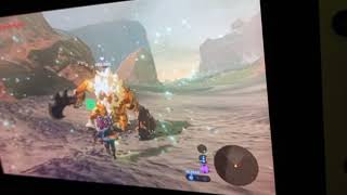 5 year old defeats a Gold lynel Zelda BOTW