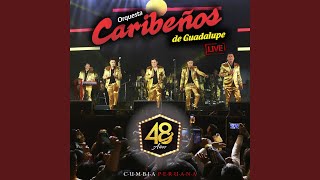 Video thumbnail of "Orquesta Caribeños de Guadalupe - Hay Que Saber Perder (En Vivo)"