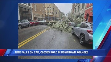 Campbell Ave in Downtown Roanoke open after tree falls