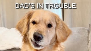 Comet Snitches on Dad