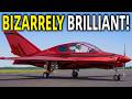 Why Everyone Fell In Love With This HOMEBUILT DELTA WING!