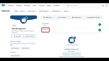 Export Data | Data Management | Trailhead | Salesforce | Virtual Internship