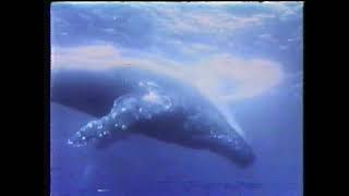 Chevron Commercial (1987)