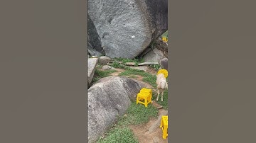 Content cần phải viral, muốn tránh cảnh xô bồ thì lét gô cafe đồi cừu Hải Vân