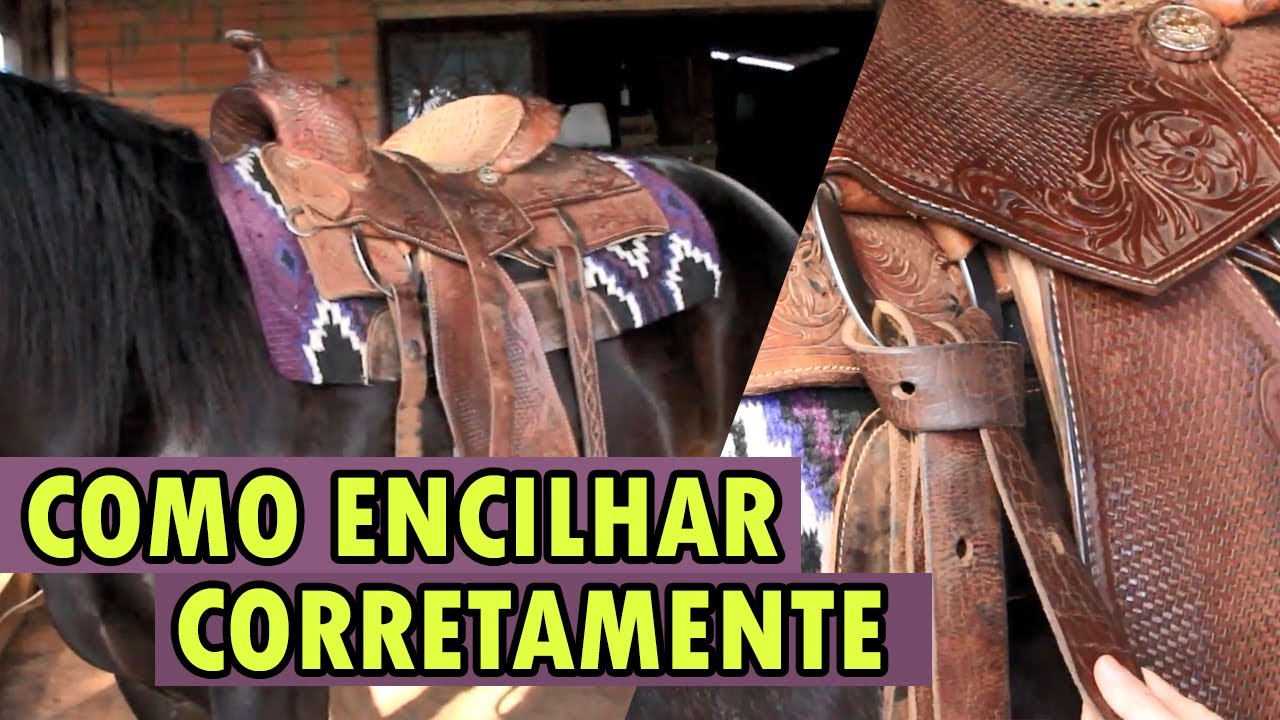 Como ENCILHAR o cavalo ? (Com/Sem fivela)