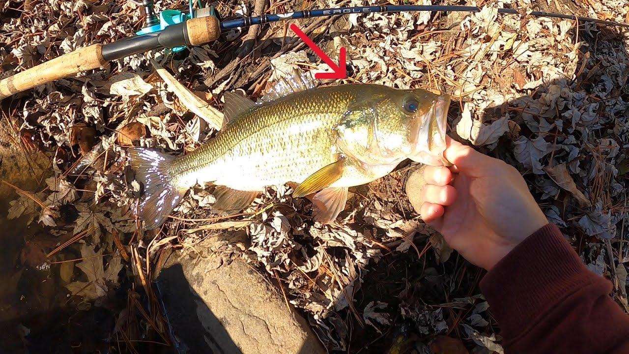 Fishing for bass & Pickerel a cold day at the pond
