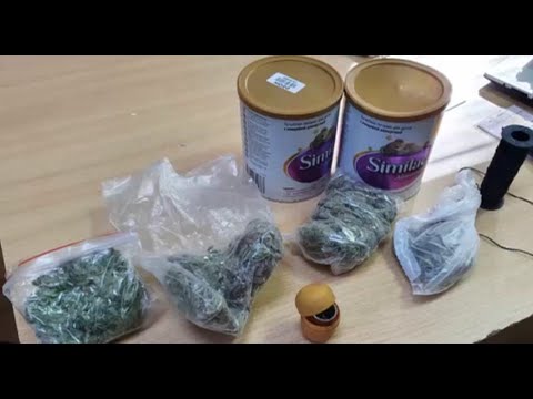 Полицейские задержали водителя, который перевозил наркотики