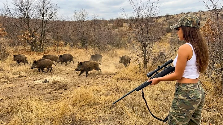 Wild Boar Hunting – Young Hunter Takes Out Massive Hogs with Perfect Long-Range Shots🎯