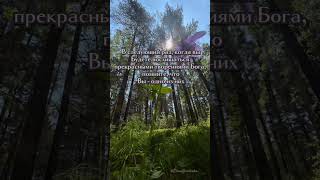 Я свободно выбираю благополучную жизнь, которая есть мое предназначение #эраводолея #раскрытиесердца