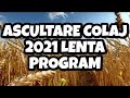 PROGRAM ASCULTARE 2021 MELODII LENTE DE PAHAR COLAJ 2021