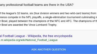 How many professional football teams are there in the USA?