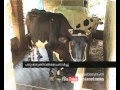 giving birth twins idukki: Chuttuvattom
