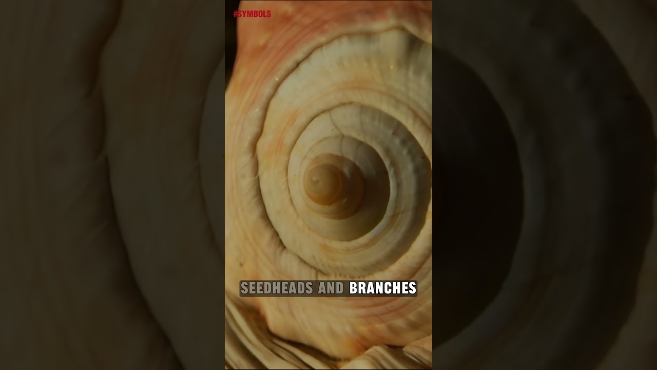 Cracking the Code of Nature with the Fibonacci Sequence 