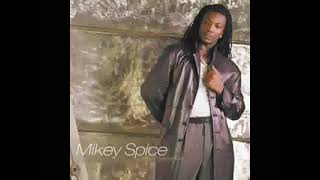Mikey Spice : here I am