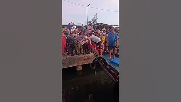 dành cá đi chợ buổi sáng ở cảng cá #shorts #fuunyshorts