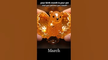 Your Birth Month is Your New Pet | Egg Hatching AI ASMR