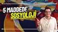 Sosyoloji ile ilgili video