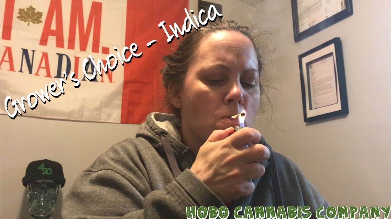 Donna Reviews “Grower’s Choice - Indica” (Medical Marijuana) From Hobo Cannabis Company