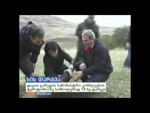 თამარ ხიდაშელის საარჩევნო შტაბმა დავით გარეჯის ტერიტორიაზე ხეები დარგო