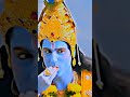 Shri krishna loves his devotees very much  sanatan krishna obhakti shrikrishna lordkrishna