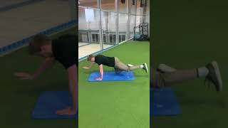 CROSSED EXTENSION STRAIGHT LEG QUADRUPED FE