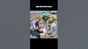 Ông lão kỳ lạ lập mộ cho trâu bò như người thân