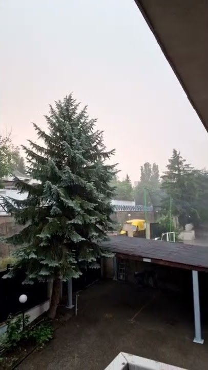 Eh ujan Gerimis Aje, Sofia Bulgaria