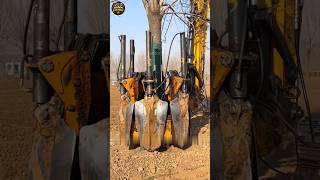 Tree Moving Machine Amazing Process 😱 Kaise Shift Hota Hai Giant Tree? #facts #shorts
