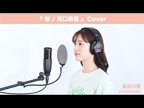 『 桜 ／ 河口恭吾 』【Cover】長谷川愛  歌ってみた